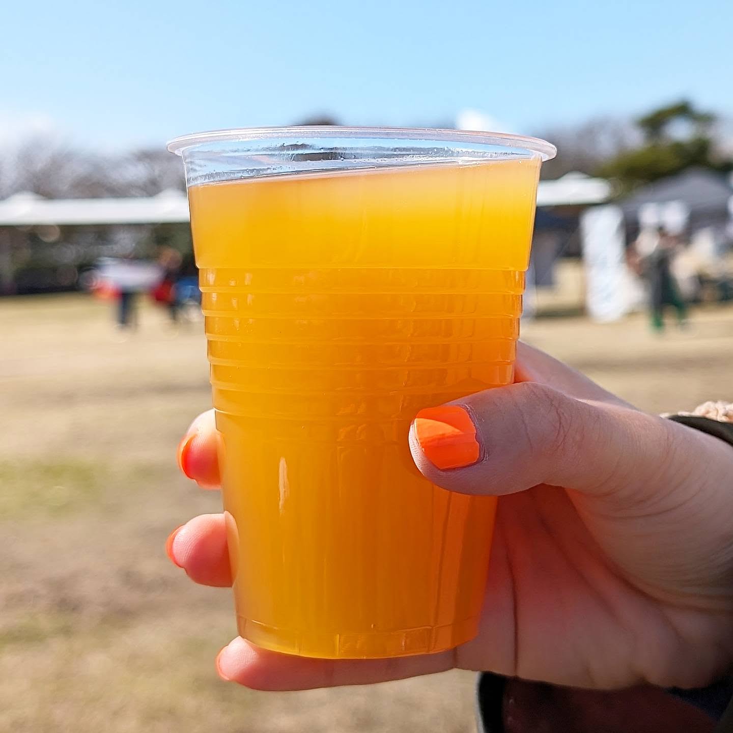 山本ホップが頂いた15 breweryの「Hazy IPA」