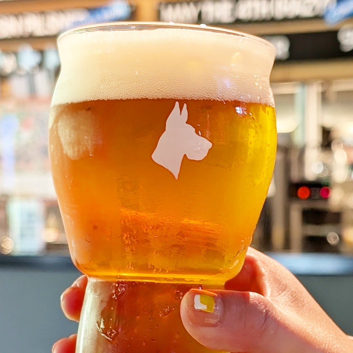 山本ホップが頂いたGREAT DANE BREWINGの「グレードラガー GREAT LAGER」