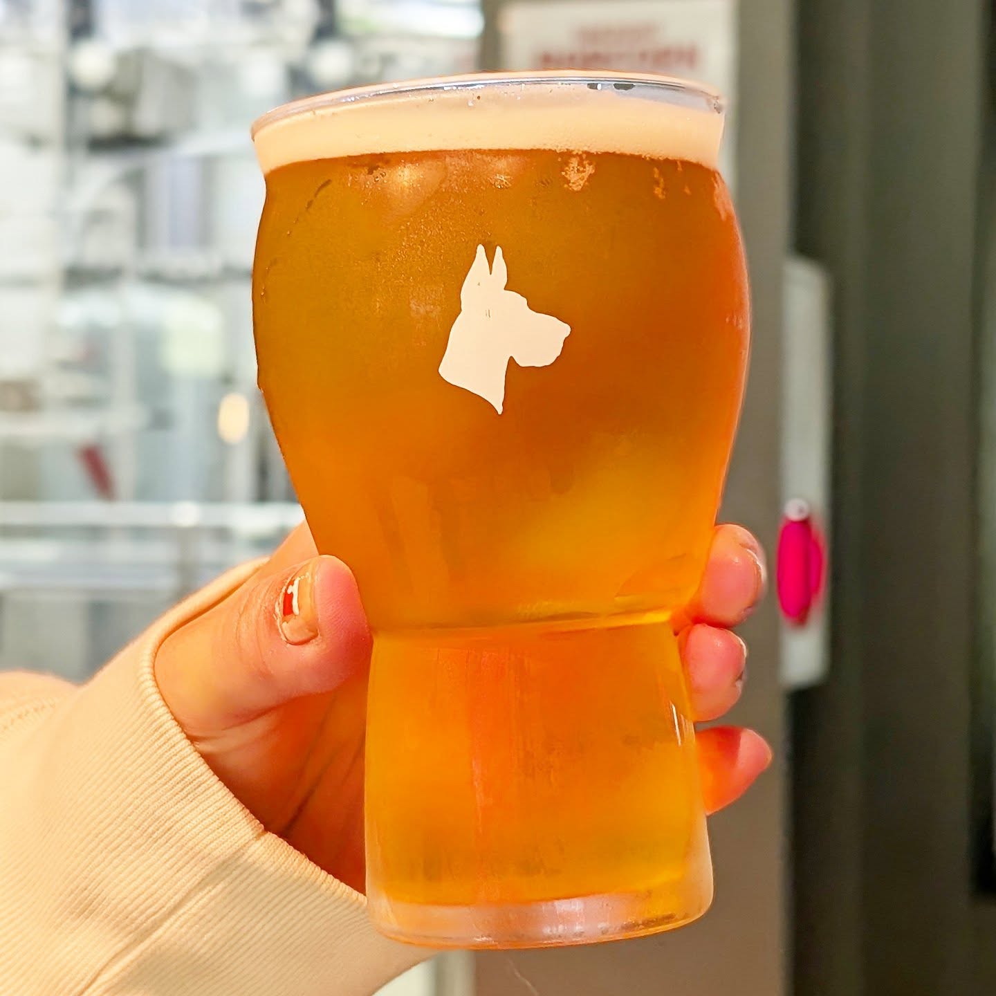 山本ホップが頂いたGREAT DANE BREWINGの「シトラIPA」