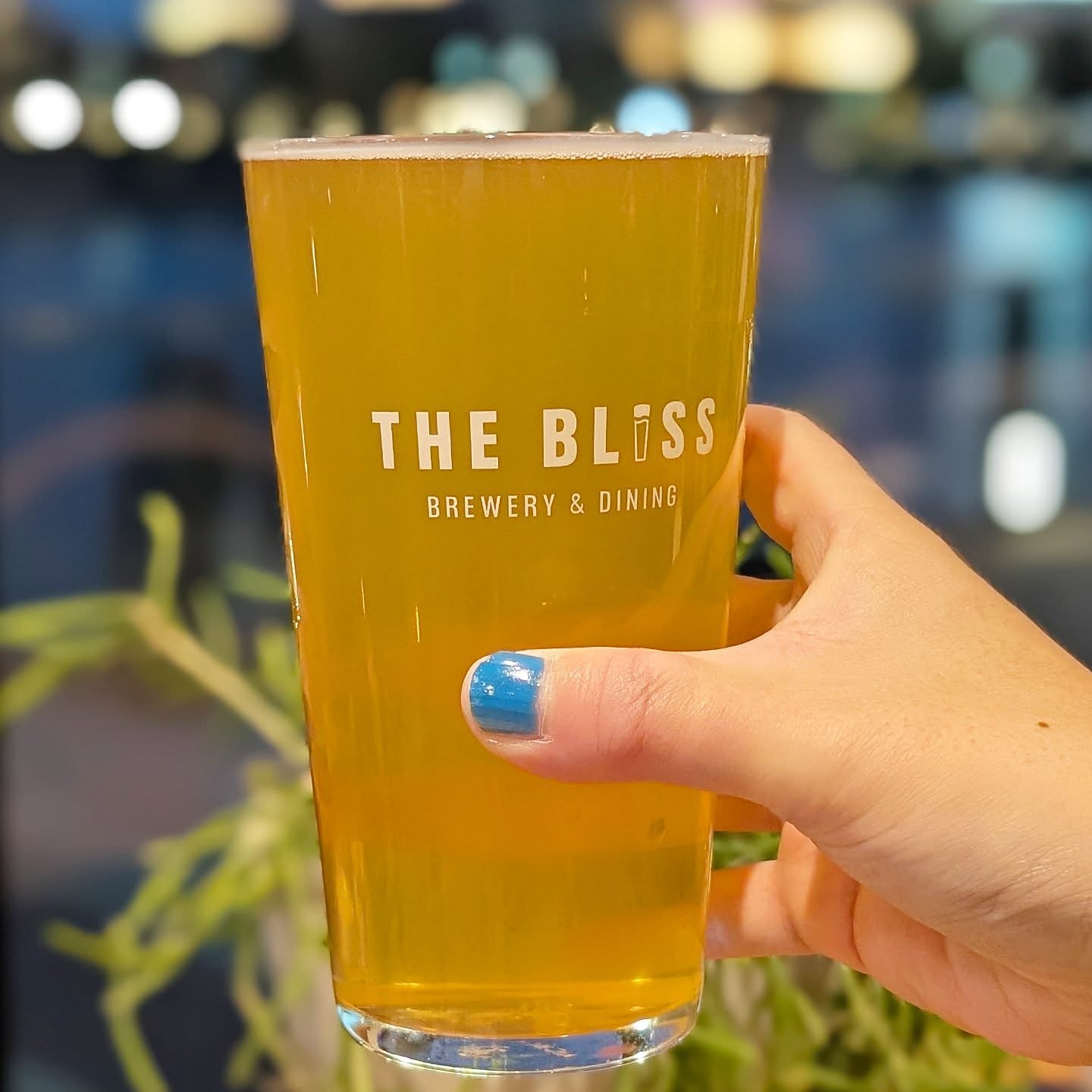 山本ホップが頂いたTHE BLISSの「Nebula Hazy IPA」